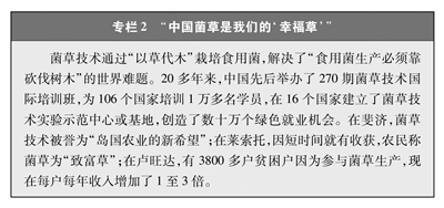 命运共同体2