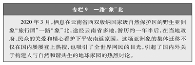 命运共同体9