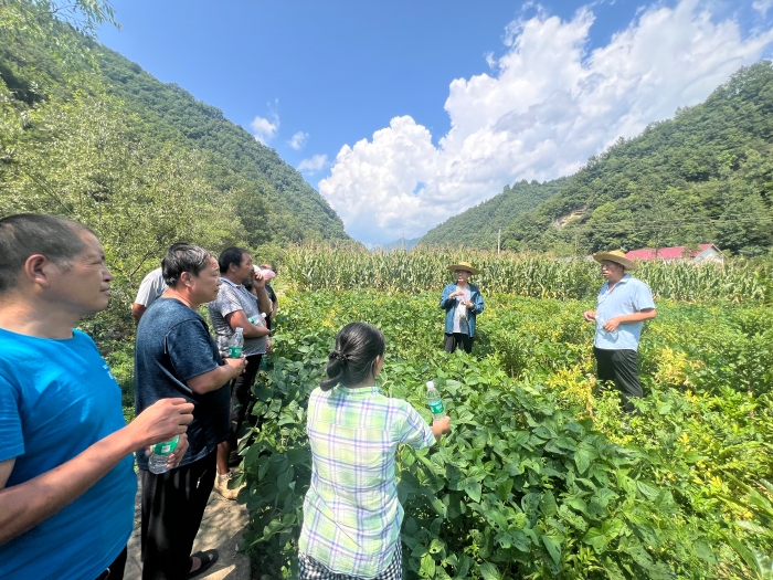 省社科联赴东洞村开展党的二十届三中全会宣讲暨乡村振兴调研活动2
