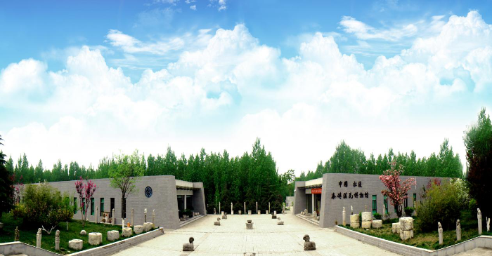 图片8 图片8