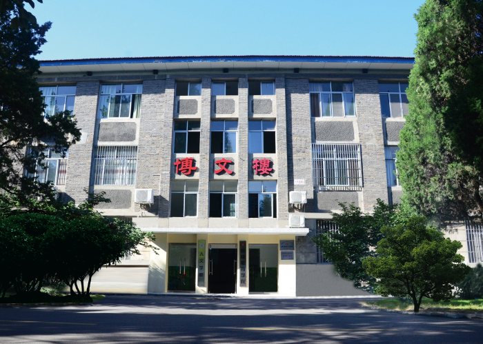 图片10